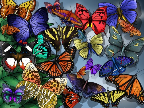 Download 3d Butterfly Wallpapers Free 3d Butterfly Wallpaper Download Wallpapertip