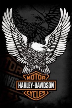 Betst Harley Davidson Logo Wallpaper For Android - Harley Davidson Logo ...