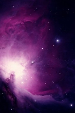 Galaxy Iphone Wallpaper Onion Dog In Space 750x1334 Download
