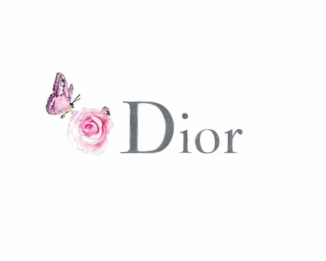 Dior 1800x1440 Download Hd Wallpaper Wallpapertip