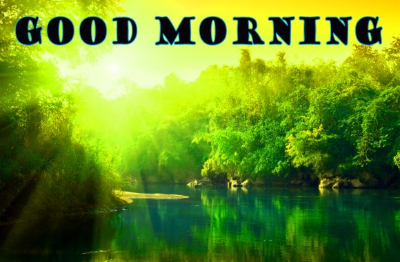 Good Morning Full Screen Hd Wallpaper Download