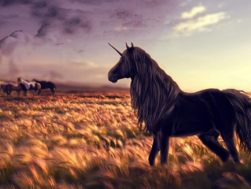 Unicorn Wallpaper For Chromebook 640x480 Download Hd Wallpaper Wallpapertip