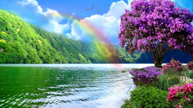 Featured image of post Nature Desktop Backgrounds Rainbow - Please use search to find more variants of pictures and to choose between available options.