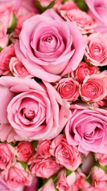 Gratuites Bouquet De Fleurs 736x1308 Download Hd Wallpaper Wallpapertip