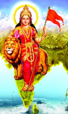 Bharat Mata Ki Jai - 720x1068 - Download HD Wallpaper - WallpaperTip