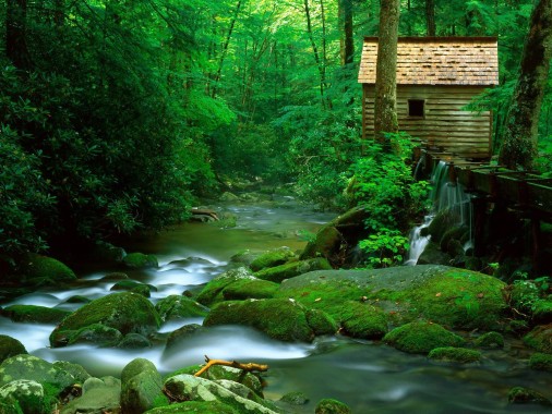 Fantasy House In The Forest - 1600x1152 - Download HD Wallpaper ...