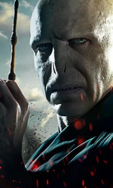 Featured image of post Harry Vs Voldemort Wallpaper A new style of themes perhaps