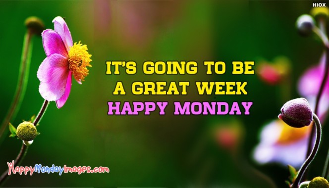 Wake Up Happy Monday - 612x612 - Download HD Wallpaper - WallpaperTip