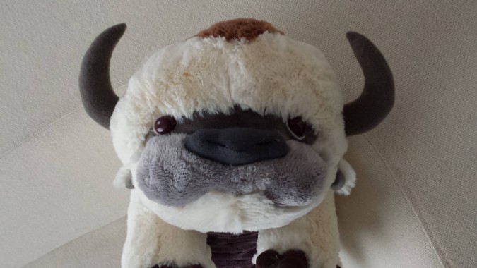 appa pillow pet release date