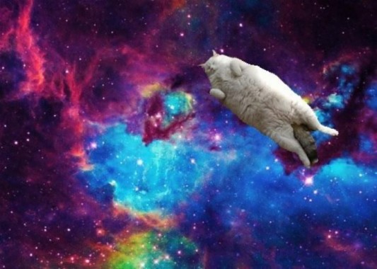 Gros Chat Dans L Espace Fond D Ecran De Chat Galaxy 700x499 Wallpapertip