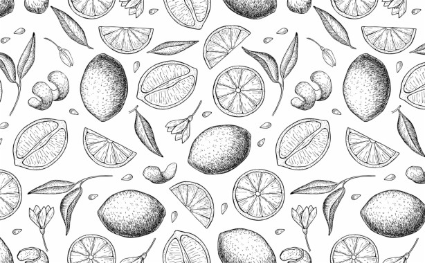 Doodle Art Wallpaper Black And White - 735x466 - Download HD Wallpaper