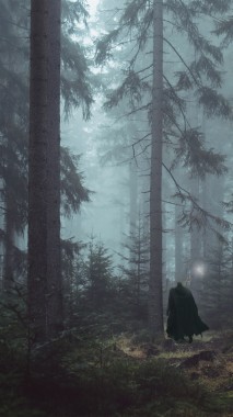 Berserk, Guts, Forest, Walking, Trees - Berserk Wallpaper Iphone ...