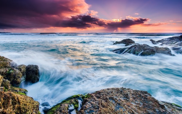 Nature Landscape Trees Sea Sand Beach - 1920x1200 - Download HD ...