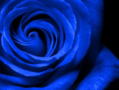 Background Royal Blue Colour - 1400x1050 - Download HD Wallpaper ...