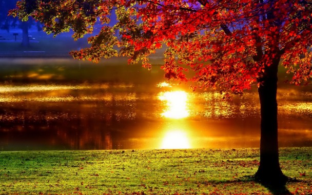 7 Best Sunset Live Wallpaper Apps For Android To See Fall Sunset