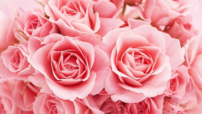Flor Mariposa Naturaleza Color Rosa Rosado Bello Hd - Pink And Gold ...