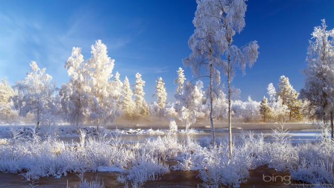 Microsoft Winter Holiday Glow Windows 10 Wallpaper Pack 1399x786 Wallpapertip