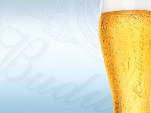 Beer Glass - 1024x768 - Download HD Wallpaper - WallpaperTip