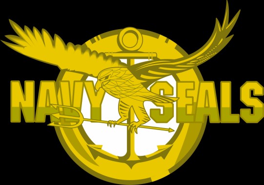 Us Navy Seal Symbol - 1600x1122 - Download HD Wallpaper - WallpaperTip