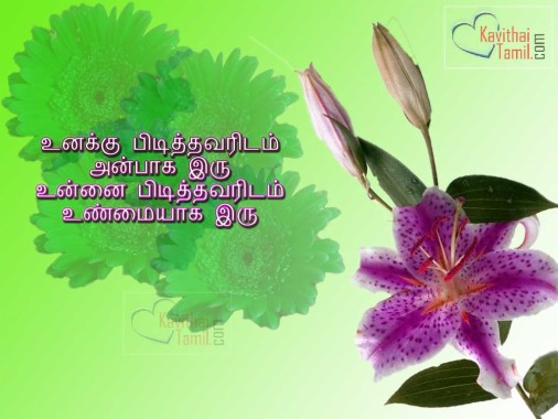 Tamil Kavithai Wallpapers Download - 1024x768 - Download HD Wallpaper ...