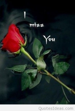 Love You I Miss You - 768x896 - Download HD Wallpaper - WallpaperTip