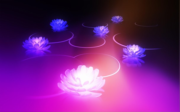 3d Lotus Flower - 1920x1200 - Download HD Wallpaper - WallpaperTip