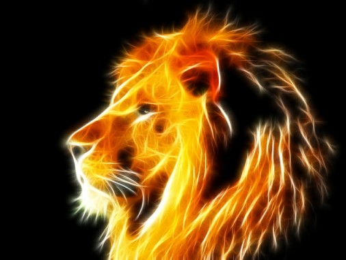 Colorful Lion Wallpaper - Paint By Numbers Lion - 3840x1080 - Download ...