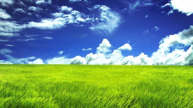 Bliss Grassland Sky Green Field Prairie Grass Hill - Windows Background 