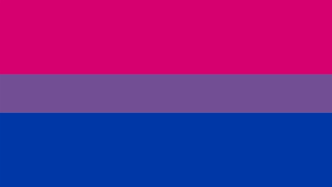 Bi Pride Wallpapers Data-src - Bisexual Pride Flag Hd - 1920x1080 ...