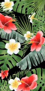 Iphone用の花の背景 花壁紙iphone 500x10 Wallpapertip