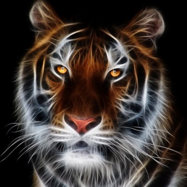 3d Wallpaper Download Tiger Image Num 46