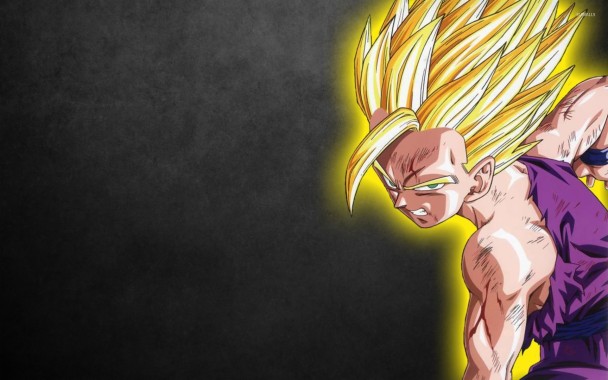 4k Dbz Wallpapers Vegeta - 2560x1600 - Download HD Wallpaper - WallpaperTip