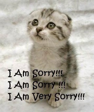 I M Sorry - Funny Dirty Dishes Meme - 357x422 - Download HD Wallpaper ...