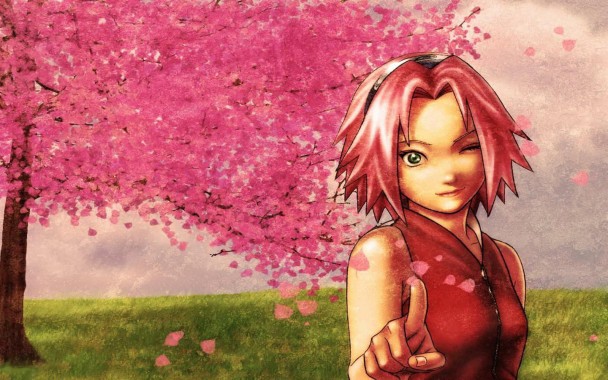 Sakura Wallpapers Free Sakura Wallpaper Download Wallpapertip