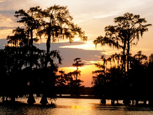 Lousiana Landscape Wallpaper Louisiana - Louisiana Swamp - 1280x960 ...