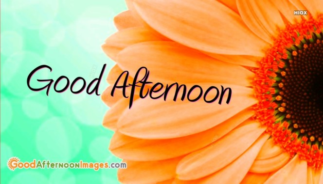 Good Afternoon Hd Images Download - 1920x1080 - Download HD Wallpaper ...