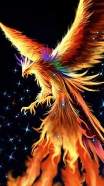 Phoenix Wallpaper Hd 1080x1920 Download Hd Wallpaper Wallpapertip