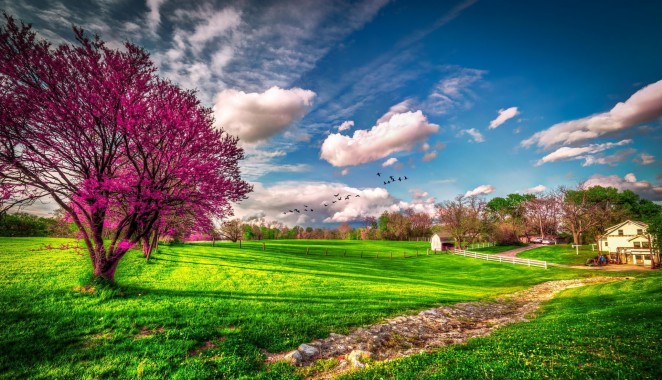 Spring Wallpaper Windows 10 - 1024x576 - Download HD Wallpaper ...