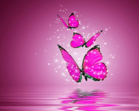 Aesthetic Wallpapers Pink Butterfly  : Wallpaper Pink Butterfly Is The.