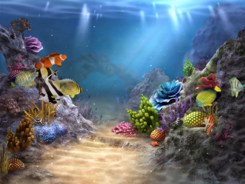 Download Under The Sea Wallpaper Mural - Under The Sea Wall Mural ...