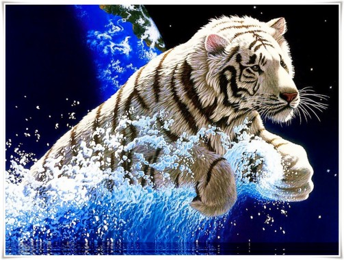 Black Tiger 3d Wallpaper Download Image Num 84