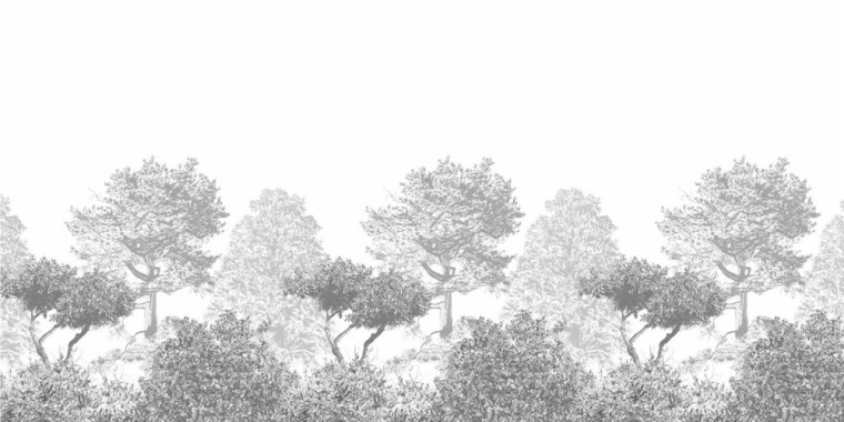 Grey Tree Wallpapers, free Grey Tree Wallpaper Download - WallpaperTip