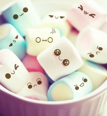 More Cute Food Photos Here Kawaii Food With Faces 500x543 Download Hd Wallpaper Wallpapertip