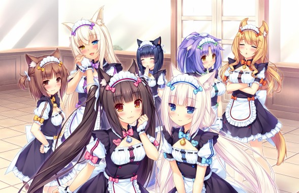 Girl Maid Anime Characters Anime Anime Girls Neko Neko Maid Cafe Anime 3160x40 Download Hd Wallpaper Wallpapertip