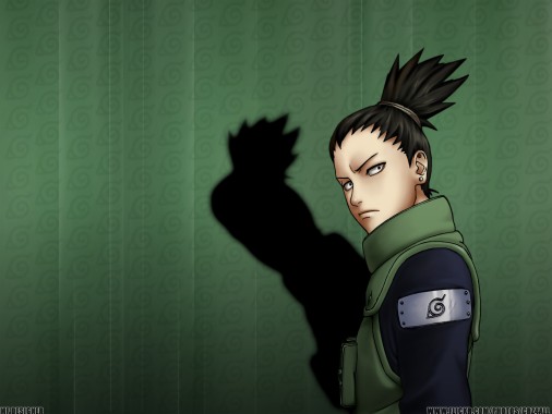 Shikamaru Nara Wallpaper - Shikamaru Nara Shippuden - 1600x1200 ...